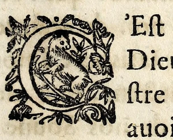 An illustration from Discours funebre, sur la mort de Louis le iuste, roy de France & de Nauarre., 1643, leaf 15