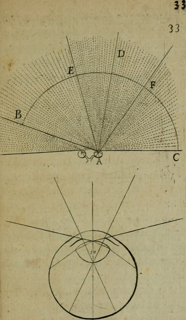 An illustration from Discours touchant le point de veue : dans lequel il est prouvé que les choses qu'on voit distinctement, ne sont veuës que d'un il, 1679, leaf 50