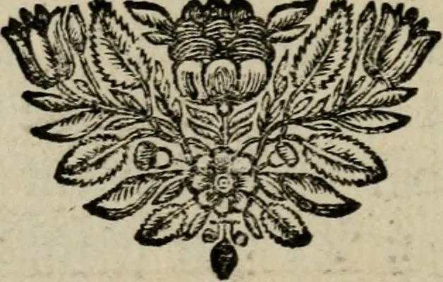 An illustration from Discours touchant le point de veue : dans lequel il est prouvé que les choses qu'on voit distinctement, ne sont veuës que d'un il, 1679, leaf 73