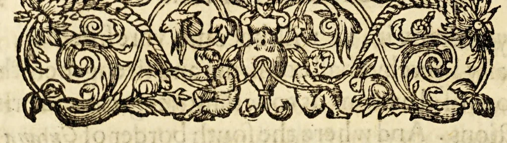 An illustration from The discoverie of the large, rich, and bewtiful empyre of Guiana, with a relation of the great and golden citic of Manoa (which the Spanyards call El Dorado) and of the provinces of Emeria, Arromaia, Amapaia, and other countries...performed in the yeare 1595. by Sir W. Ralegh knight, captaine of her Maiesties Guard., 1596, leaf 126