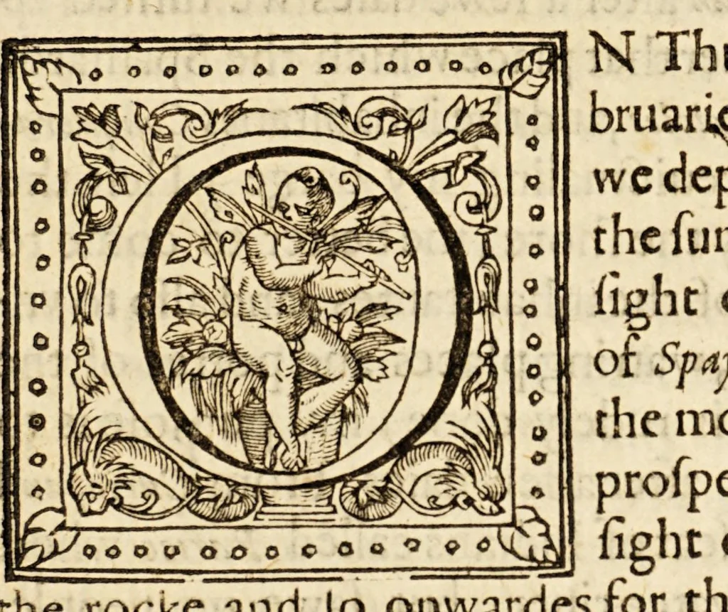 An illustration from The discoverie of the large, rich, and bewtiful empyre of Guiana, with a relation of the great and golden citic of Manoa (which the Spanyards call El Dorado) and of the provinces of Emeria, Arromaia, Amapaia, and other countries...performed in the yeare 1595. by Sir W. Ralegh knight, captaine of her Maiesties Guard., 1596, leaf 25