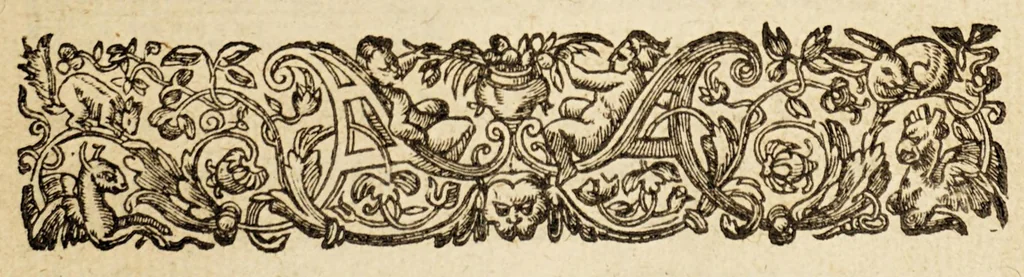 An illustration from The discoverie of the large, rich, and bewtiful empyre of Guiana, with a relation of the great and golden citic of Manoa (which the Spanyards call El Dorado) and of the provinces of Emeria, Arromaia, Amapaia, and other countries...performed in the yeare 1595. by Sir W. Ralegh knight, captaine of her Maiesties Guard., 1596, leaf 9