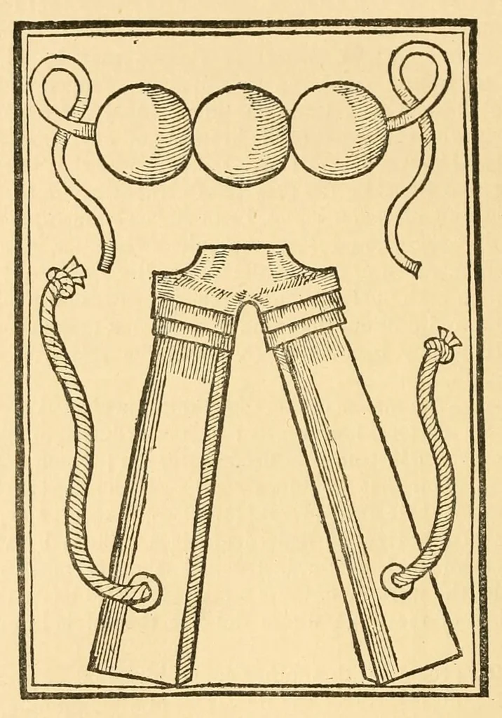 An illustration from The discoverie of witchcraft, 1886, leaf 386