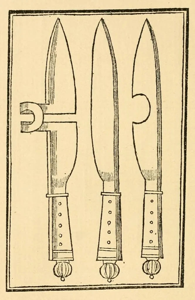 An illustration from The discoverie of witchcraft, 1886, leaf 388