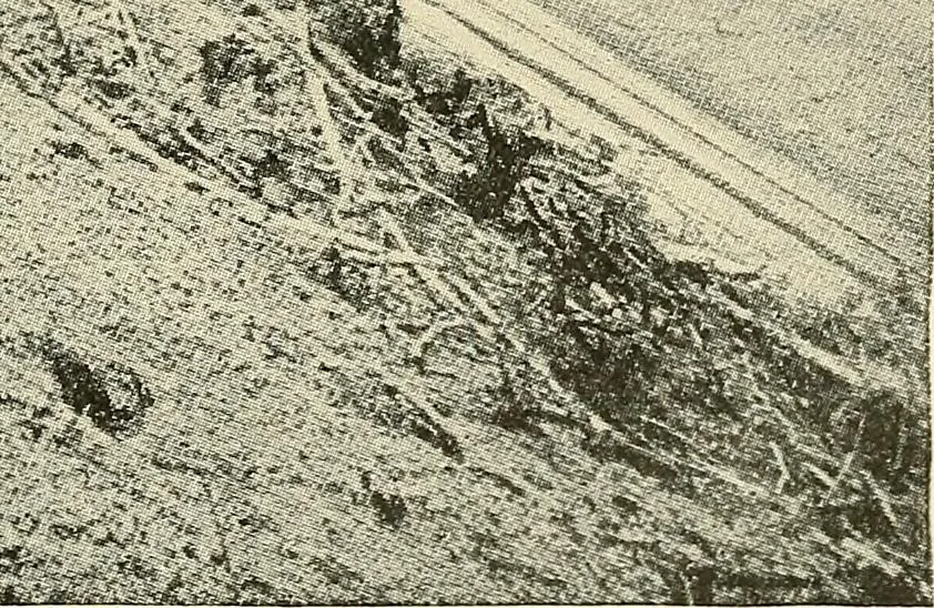 An illustration from Discoveries and inventions of the nineteenth century, 1905, leaf 159