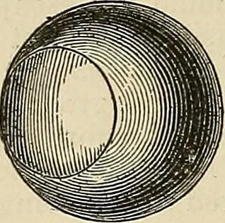 An illustration from Discoveries and inventions of the nineteenth century, 1905, leaf 222