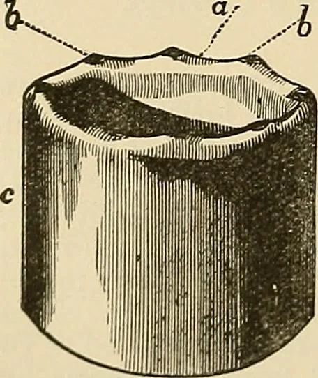 An illustration from Discoveries and inventions of the nineteenth century, 1905, leaf 408