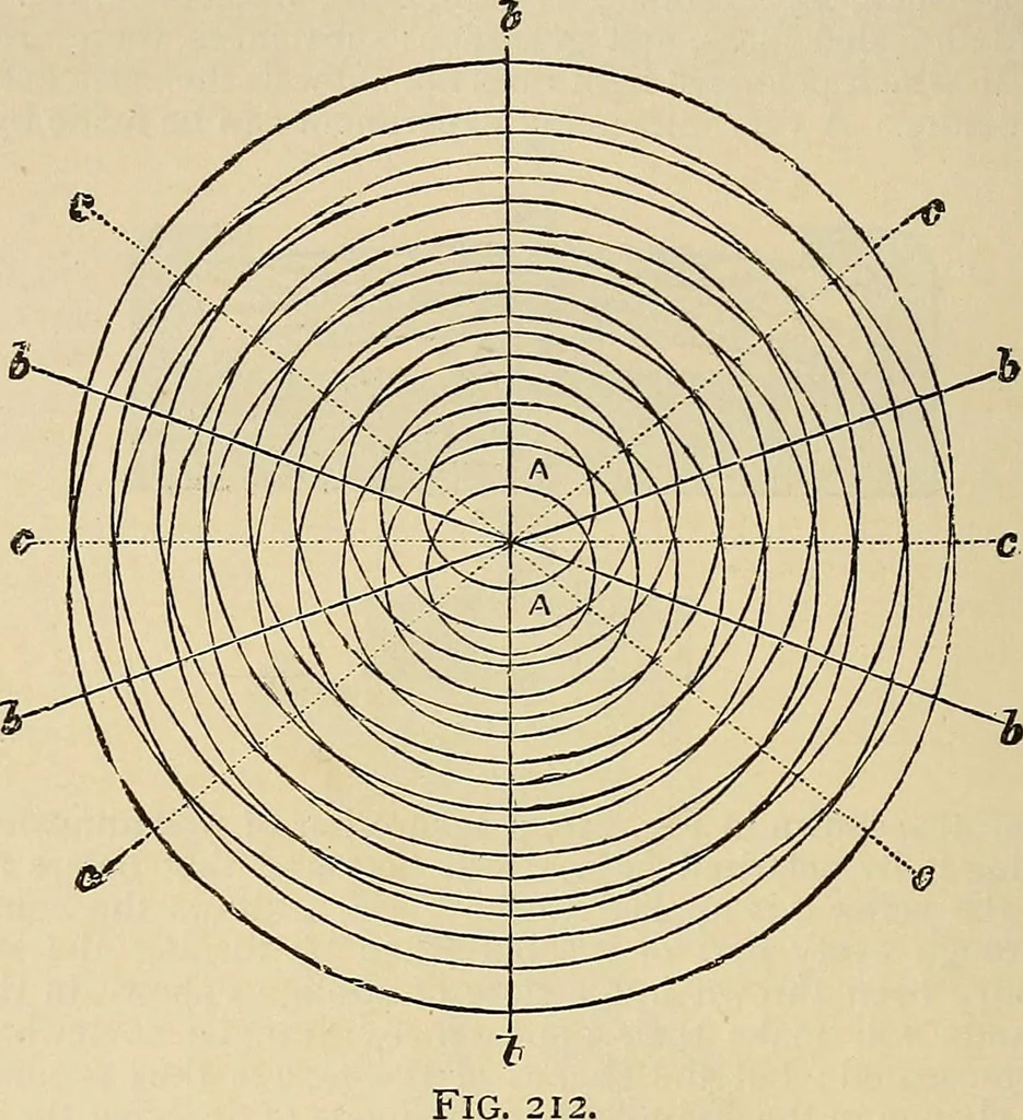An illustration from Discoveries and inventions of the nineteenth century, 1905, leaf 458