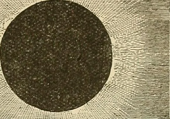 An illustration from Discoveries and inventions of the nineteenth century, 1905, leaf 491
