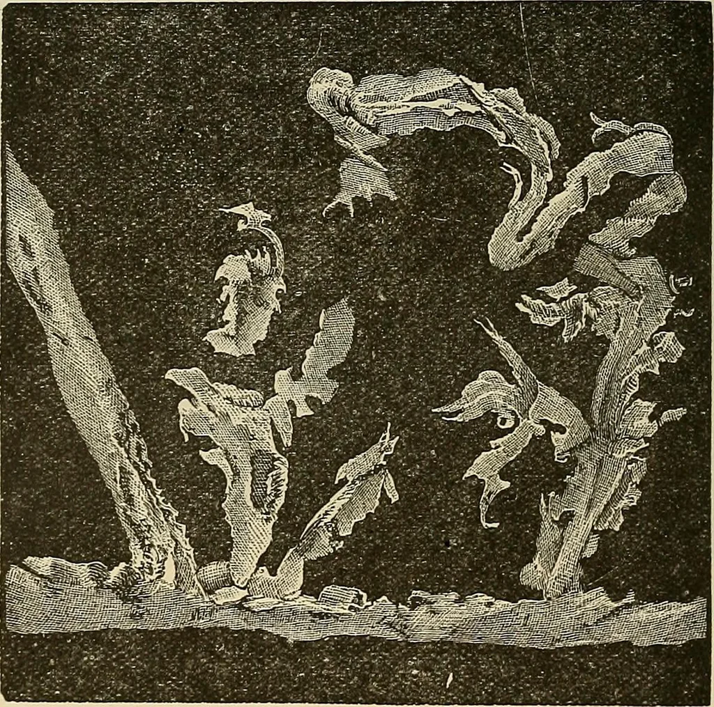 An illustration from Discoveries and inventions of the nineteenth century, 1905, leaf 494