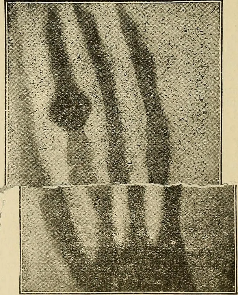 An illustration from Discoveries and inventions of the nineteenth century, 1905, leaf 500