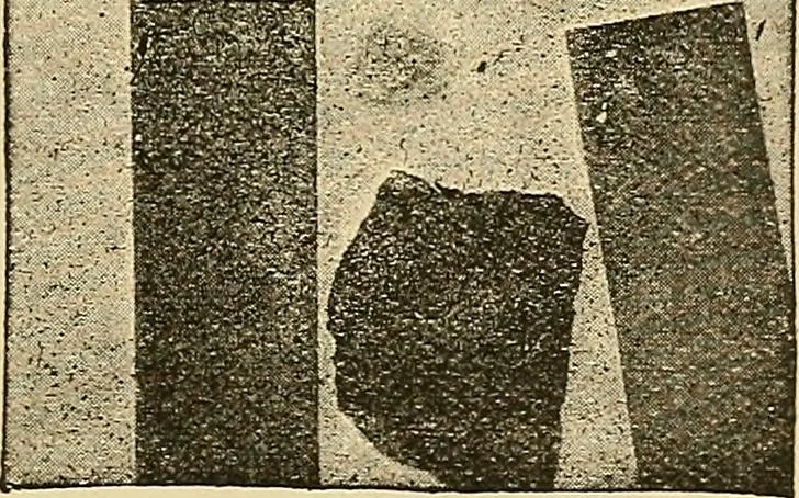 An illustration from Discoveries and inventions of the nineteenth century, 1905, leaf 503