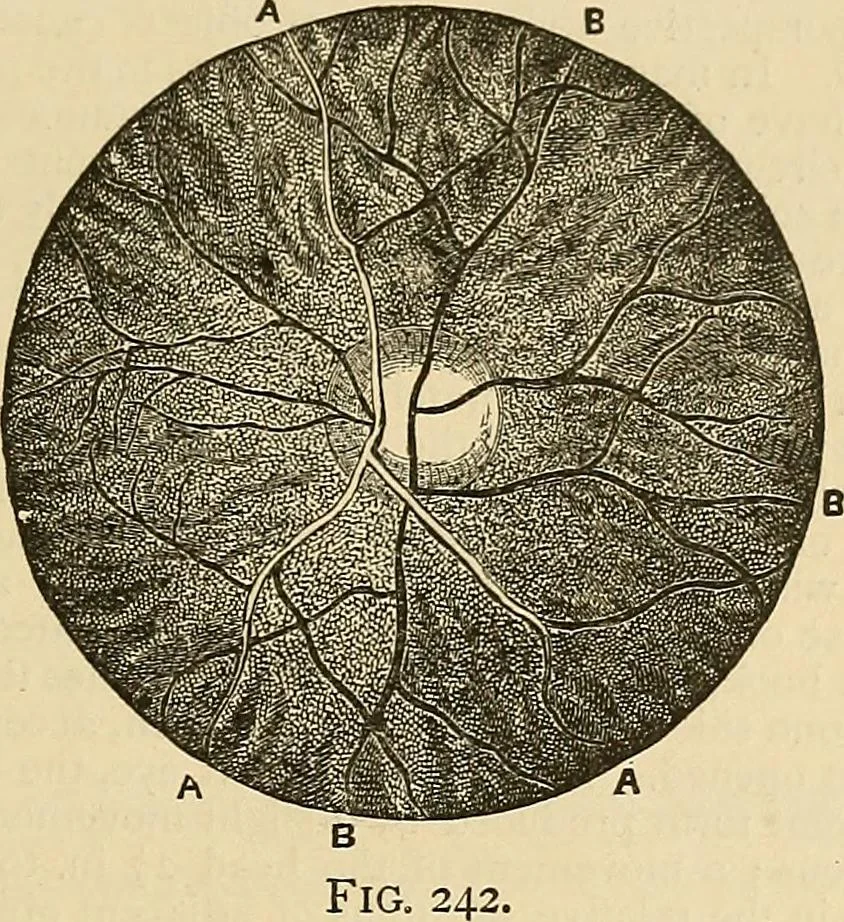 An illustration from Discoveries and inventions of the nineteenth century, 1905, leaf 519