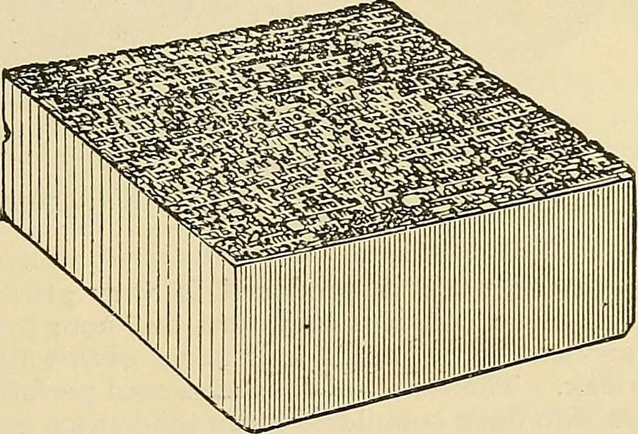 An illustration from Discoveries and inventions of the nineteenth century, 1905, leaf 703