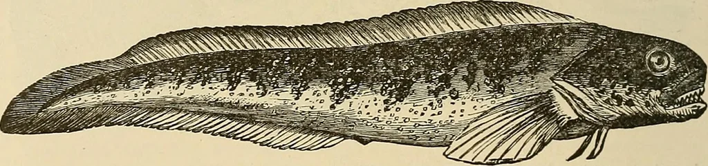 An illustration from Discoveries and inventions of the nineteenth century, 1905, leaf 732