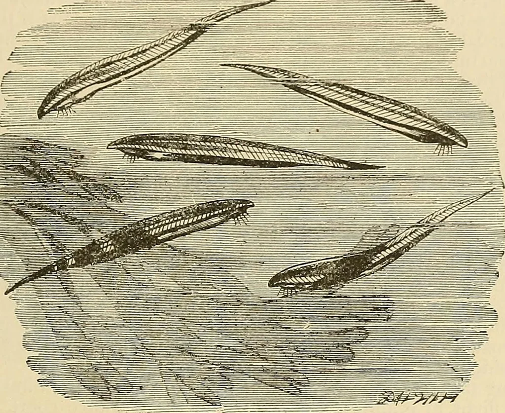 An illustration from Discoveries and inventions of the nineteenth century, 1905, leaf 733
