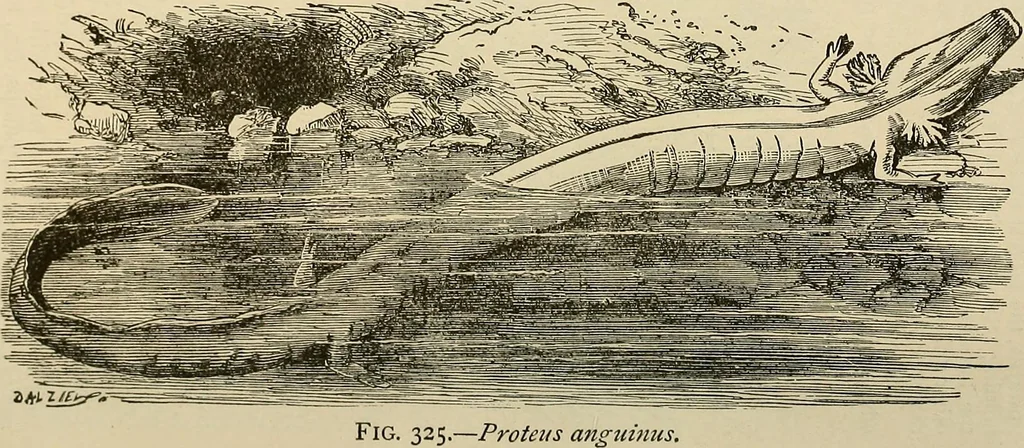 An illustration from Discoveries and inventions of the nineteenth century, 1905, leaf 736