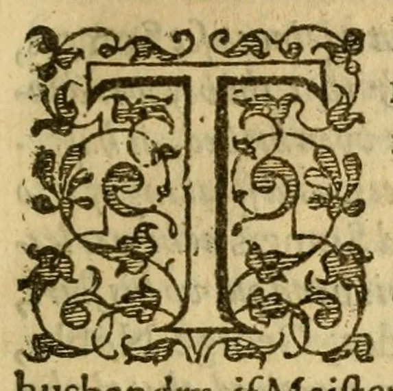 An illustration from A discovery of the fraudulent practises of Iohn Darrel ... detecting in some sort the deceitfull trade in these latter dayes of casting out devils, 1599, leaf 221