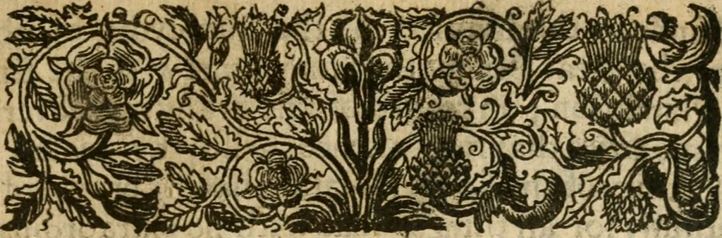 An illustration from The discovery of Nevv Brittaine : began August 27, Anno Dom. 1650, 1651, leaf 18