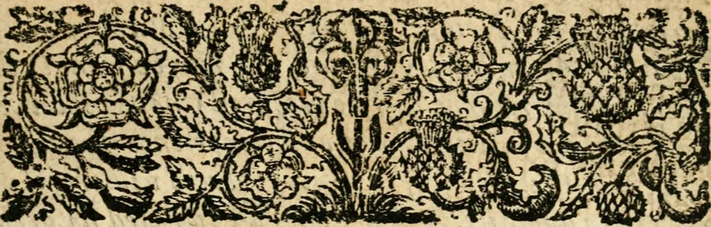 An illustration from The discovery of Nevv Brittaine : began August 27, Anno Dom. 1650, 1651, leaf 20