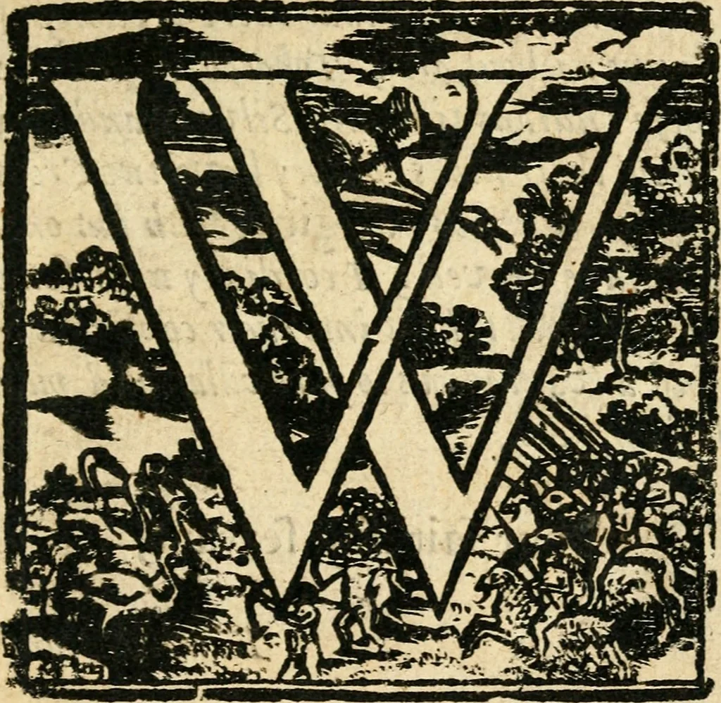 An illustration from The discovery of Nevv Brittaine : began August 27, Anno Dom. 1650, 1651, leaf 20