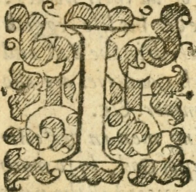 An illustration from The discovery of Nevv Brittaine : began August 27, Anno Dom. 1650, 1651, leaf 22
