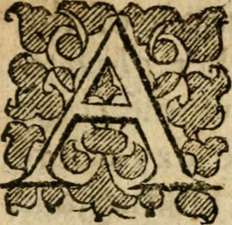 An illustration from The discovery of Nevv Brittaine : began August 27, Anno Dom. 1650, 1651, leaf 24