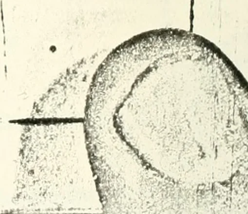 An illustration from The discovery of a world in the moone, 1638, leaf 221