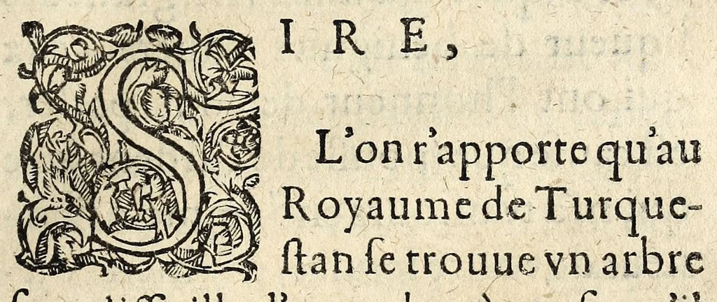 An illustration from Discovrs av Roy, svr son instrvction ..., 1615, leaf 3