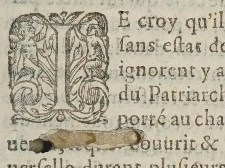 An illustration from Discovrs de la verité, des cavses et effects, des divers covrs, mouuements, flux, reflux, & saleure de la mer oceane, mer mediterranee & autres mers de la terre, 1600, leaf 419