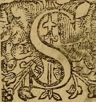 An illustration from Discovrs de l'ordre tenv par les habitans de la ville de Rouen, à l'entrée du Roy nostre Sire. Auec les harangues y prononcees à sa Reception, 1588, leaf 19