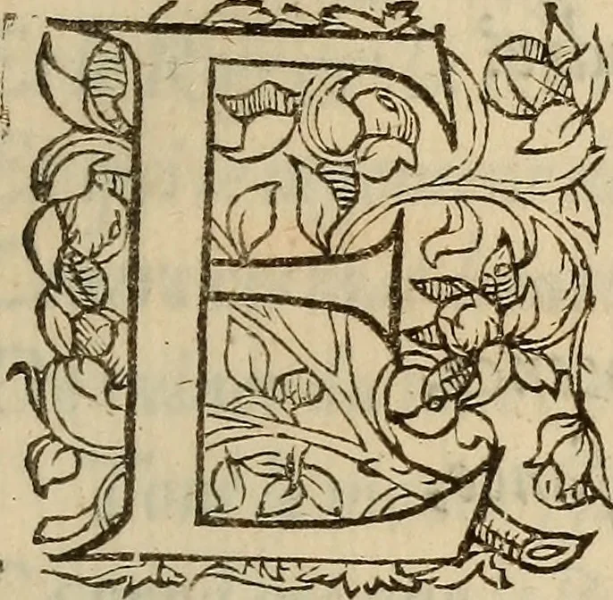 An illustration from Discovrs des choses faictes par Monsievr le Prince de Conde, Lieutenant general de Roy, : representant sa personne par tous ses pays, terres & seigneuries, depuis son partement d'Orleans.., 1563, leaf 10