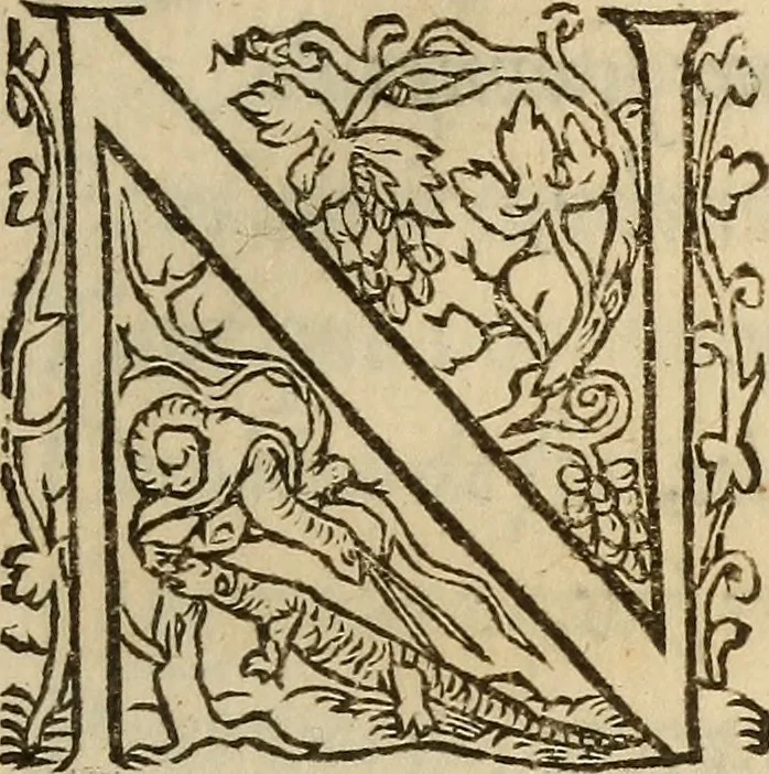 An illustration from Discovrs des choses faictes par Monsievr le Prince de Conde, Lieutenant general de Roy, : representant sa personne par tous ses pays, terres & seigneuries, depuis son partement d'Orleans.., 1563, leaf 4