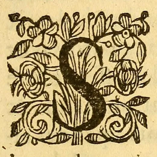 An illustration from Discovrs D'Estat : Presenté au Roy, sur les Alliances de France & d'Espagne, tant vieilles que nouuelles, 1615, leaf 5