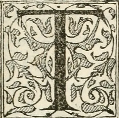 An illustration from Discovrs historial de l'antiqve et illvstre cité de Nismes en la Gaule narbonoise : auec les portraitz des plus antiques & insignes bastimens dudit lieu, reduitz à leur vraye mesure & proportion, ensemble de l'antique & moderne ville, 1560, leaf 14