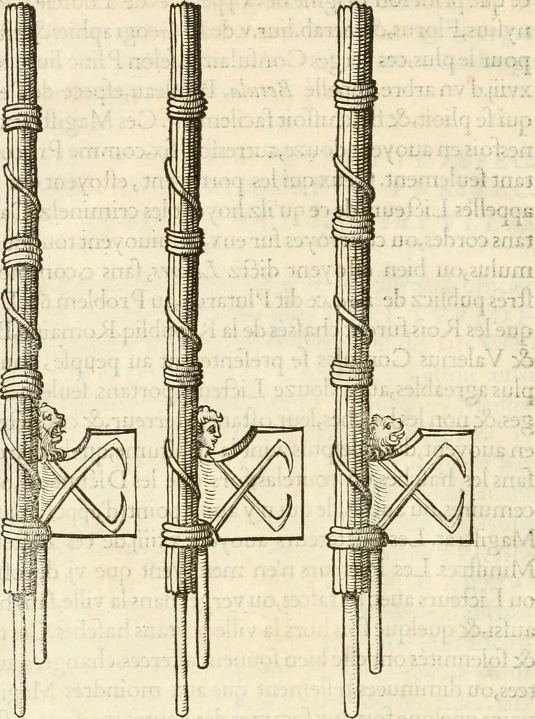 An illustration from Discovrs historial de l'antiqve et illvstre cité de Nismes en la Gaule narbonoise : auec les portraitz des plus antiques & insignes bastimens dudit lieu, reduitz à leur vraye mesure & proportion, ensemble de l'antique & moderne ville, 1560, leaf 199
