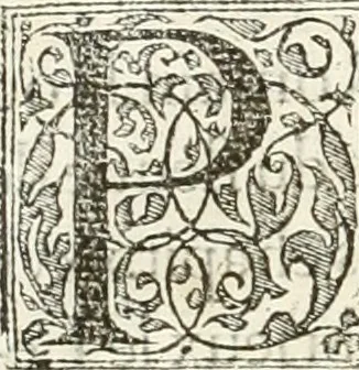 An illustration from Discovrs historial de l'antiqve et illvstre cité de Nismes en la Gaule narbonoise : auec les portraitz des plus antiques & insignes bastimens dudit lieu, reduitz à leur vraye mesure & proportion, ensemble de l'antique & moderne ville, 1560, leaf 229