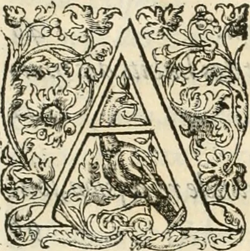 An illustration from Discovrs historial de l'antiqve et illvstre cité de Nismes en la Gaule narbonoise : auec les portraitz des plus antiques & insignes bastimens dudit lieu, reduitz à leur vraye mesure & proportion, ensemble de l'antique & moderne ville, 1560, leaf 264
