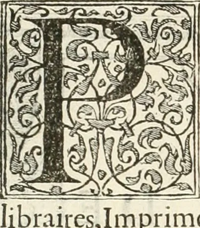 An illustration from Discovrs historial de l'antiqve et illvstre cité de Nismes en la Gaule narbonoise : auec les portraitz des plus antiques & insignes bastimens dudit lieu, reduitz à leur vraye mesure & proportion, ensemble de l'antique & moderne ville, 1560, leaf 7