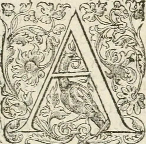 An illustration from Discovrs historial de l'antiqve et illvstre cité de Nismes en la Gaule narbonoise : auec les portraitz des plus antiques & insignes bastimens dudit lieu, reduitz à leur vraye mesure & proportion, ensemble de l'antique & moderne ville, 1560, leaf 8