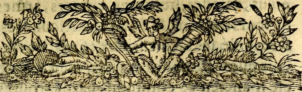 An illustration from Discovrs ov traicté des dévises. Ov est mise la raison et différence des emblèmes, énigmes, sentences & autres, 1620, leaf 14