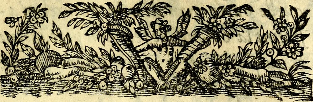 An illustration from Discovrs ov traicté des dévises. Ov est mise la raison et différence des emblèmes, énigmes, sentences & autres, 1620, leaf 8