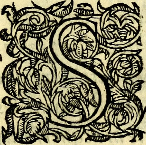 An illustration from Discovrs ov traicté des dévises. Ov est mise la raison et différence des emblèmes, énigmes, sentences & autres, 1620, leaf 8