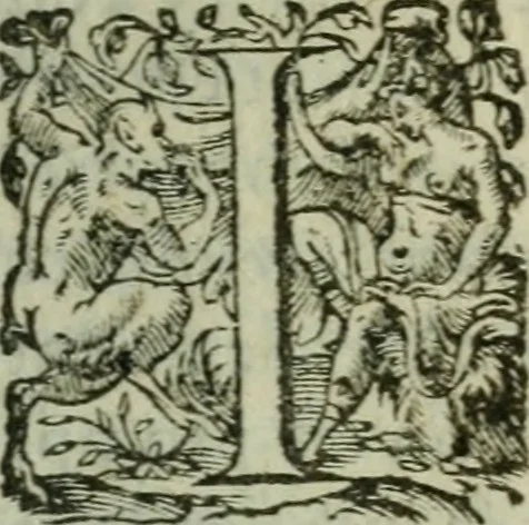 An illustration from Discovrs politiqves et militaires. Nouuellement recueillis & mis en lumiere, 1587, leaf 176