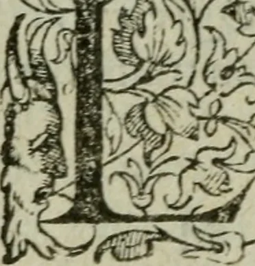An illustration from Discovrs politiqves et militaires. Nouuellement recueillis & mis en lumiere, 1587, leaf 197