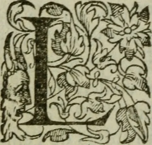 An illustration from Discovrs politiqves et militaires. Nouuellement recueillis & mis en lumiere, 1587, leaf 241