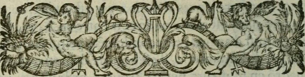 An illustration from Discovrs politiqves et militaires. Nouuellement recueillis & mis en lumiere, 1587, leaf 313