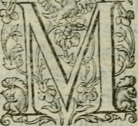 An illustration from Discovrs politiqves et militaires. Nouuellement recueillis & mis en lumiere, 1587, leaf 313