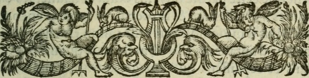 An illustration from Discovrs politiqves et militaires. Nouuellement recueillis & mis en lumiere, 1587, leaf 360