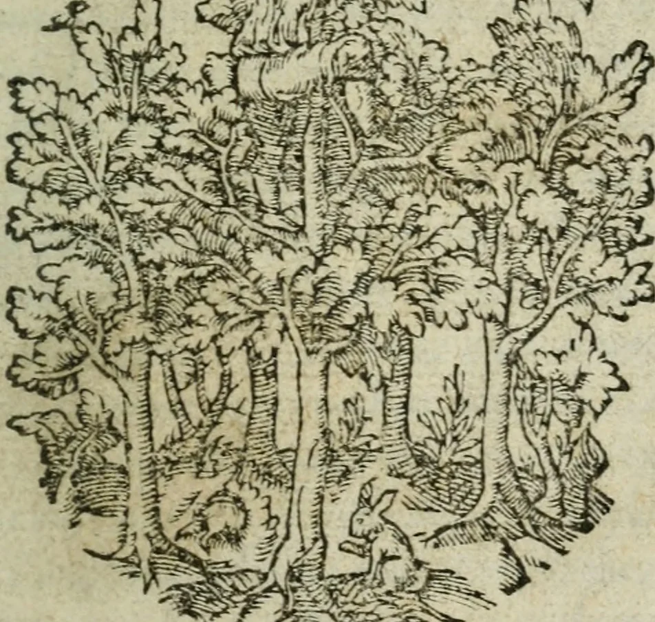 An illustration from Discovrs politiqves et militaires. Nouuellement recueillis & mis en lumiere, 1587, leaf 4